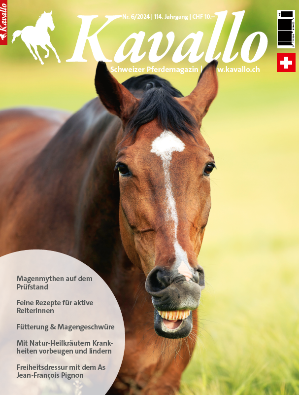 Einzelheft kaufen: Kavallo-Ausgabe Juni 2024