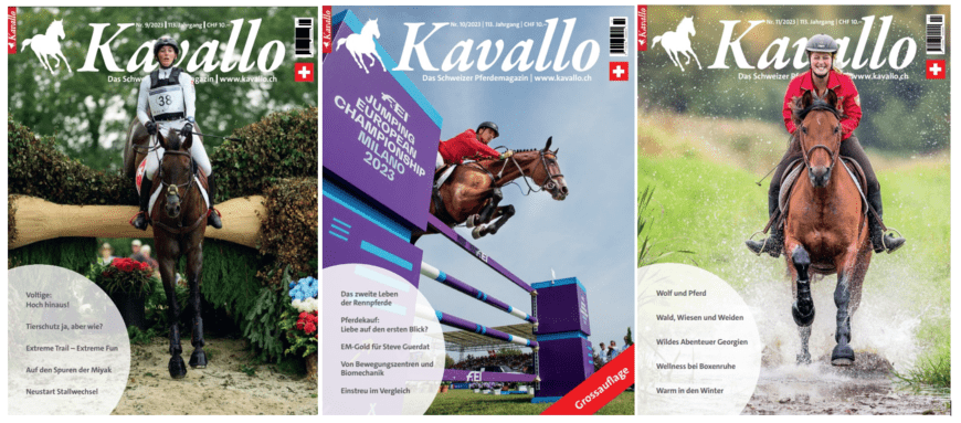 Kavallo-Jahresabonnement, zahle 11 - erhalte 14!