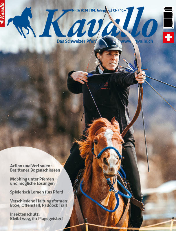 Einzelheft kaufen: Kavallo-Ausgabe Mai 2024