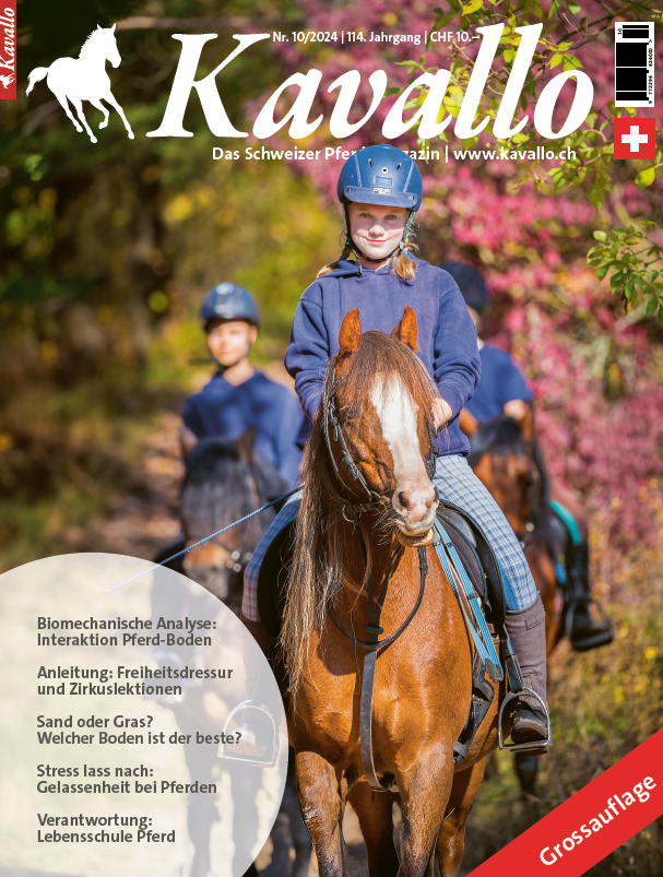 Kavallo-Digital Oktober 2024