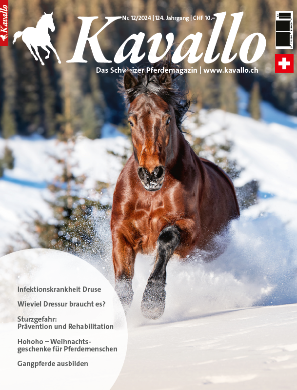 Kavallo-Digital Dezember 2024